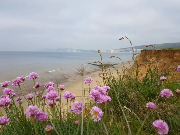 Top 11 Isle Of Wight Attractions & Things To Do For Days Out!